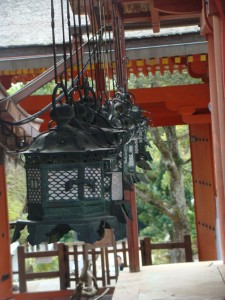 DSC06537